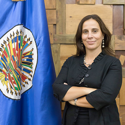 Situacin de derechos humanos y el Estado de Derecho en Nicaragua.<br />Consejo Permanente de la OEA