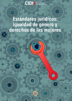 Estndares jurdicos vinculados a la igualdad del gnero y a los derechos de las mujeres en el sistema interamericano de derechos humanos: desarrollo y aplicacin