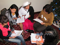 Curso sobre “Los Derechos de los Pueblos Indígenas en el Sistema Interamericano”