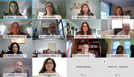 Pantalla de reunión virtual con 14 integrantes del Grupo de países amigos y 2 oficiales del Departamento de Inclusión Social. 
