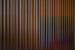 CARLOS CRUZ-DIEZ