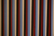 CARLOS CRUZ-DIEZ