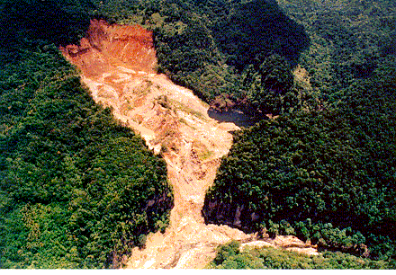 Matthieu Dam. Photo: David Lang