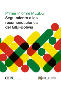 primeiro relatório da Mesa de Acompanhamento da Implementação das Recomendações do GIEI-Bolívia