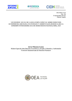 Informe de la Relatora Especial sobre los Derechos Econmicos, Sociales, Culturales y Ambientales (REDESCA)