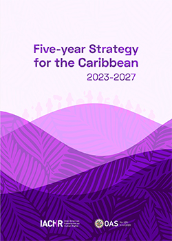 Five-Year Strategy for the Caribbean