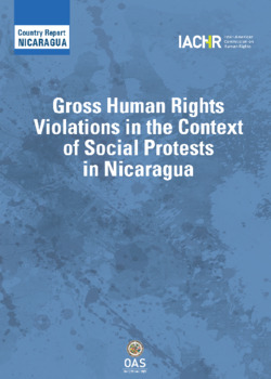 Gross Human Rights Violations in the Context of Social Protests in Nicaragua