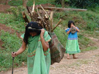 La Relatora Dinah Shelton visita comunidades indgenas en Panama