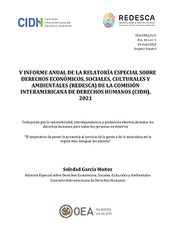 V Informe Anual de la Relatoría Especial sobre Derechos Económicos, Sociales, Culturales y Ambientales (REDESCA)