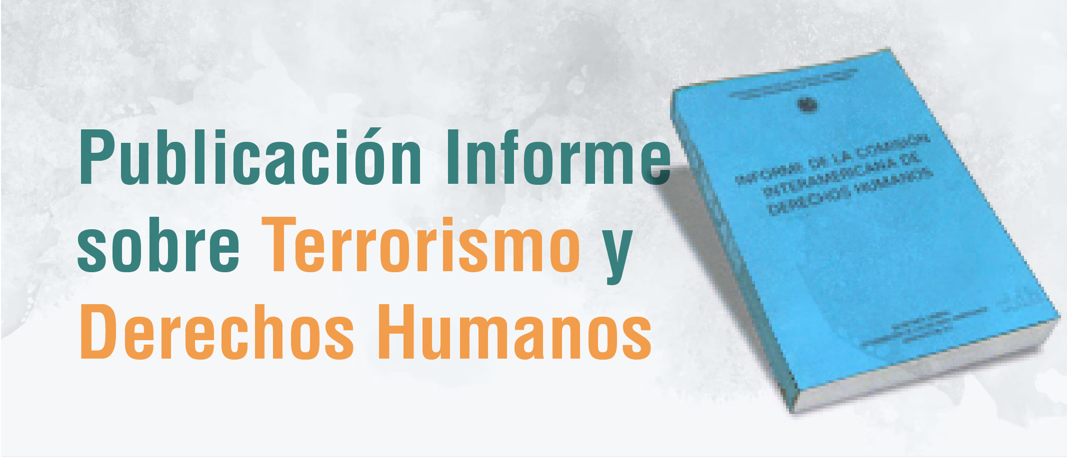 Publicación del Informe sobre Terrorismo y Derechos Humanos
