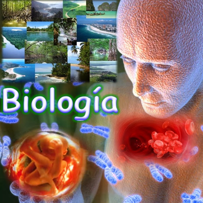 Prácticas de Enseñanza - ¿De qué trata el mundo de la biología?