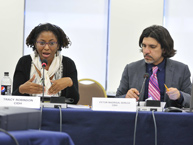 photo1 Meeting of Experts on Violence and Impunity
